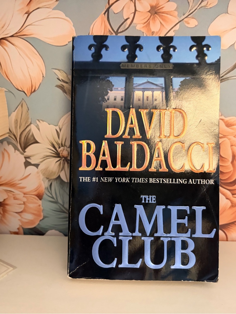 The Camel Club by David Baldacci — Book 1 in the Camel Club series.